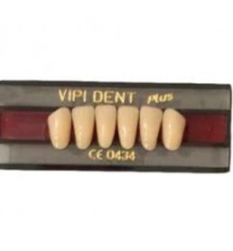 Dente VIPI 3N Anterior Inferior Cor  65 - VIPI