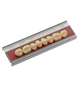 Dente Pop Dent 32L Posterior Inferior Cor 69 -VIPI