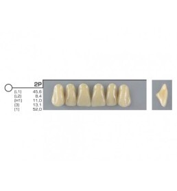 Dente VIPI 3P Anterior Inferior Cor 60 - VIPI