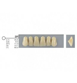 Dente VIPI A26 Anterior Superior Cor 60 - VIPI