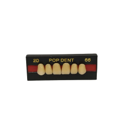 Dente Pop Dent 2D Anterior Superior Cor 66 -VIPI