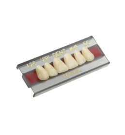 Dente VIPI 3N Anterior Superior Cor 69 - VIPI