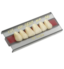 Dente Pop Dent 2N Anterior Inferior Cor 66 - VIPI
