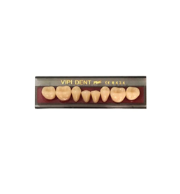 Dente VIPI 30L Posterior Superior Cor 67 - VIPI