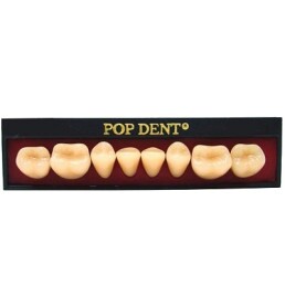 Dente Pop Dent 30M Posterior Inferior Cor 60 - VIPI