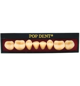 Dente Pop Dent 2N Anterior Superior Cor 62 - VIPI