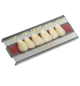 Dente VIPI 2D Anterior Superior Cor 62 - VIPI