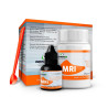 Kit MRI Cimento Restaurador Intermediário - Iodontosul