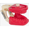 Manequim de Endodontia - Orais Manequins