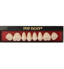Dente Pop Dent 32M Posterior Inferior Cor 66 - VIPI