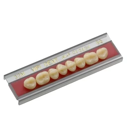 Dente VIPI 30L Posterior Inferior Cor 69 - VIPI