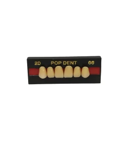 Dente Pop Dent 2D Anterior Superior Cor 66 -VIPI