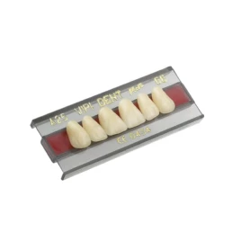 Dente VIPI 3N Anterior Superior Cor 69 - VIPI