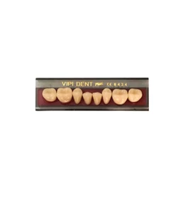 Dente VIPI 30L Posterior Superior Cor 67 - VIPI